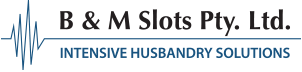 B&M Slots